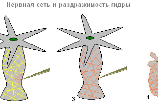 Kraken маркетплейс как зайти